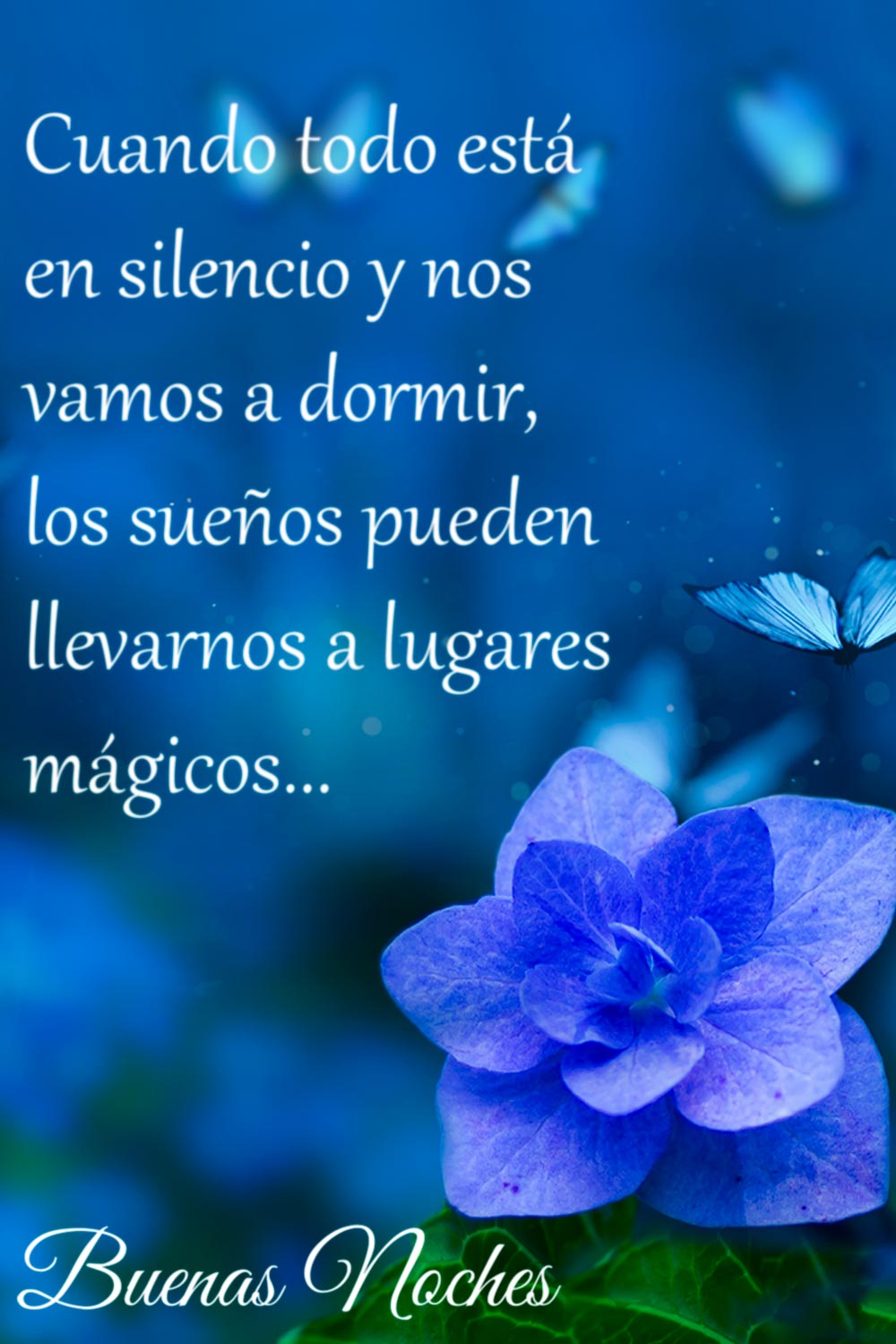 Imagenes Buenas Noches Con Flores Y Rosas Originales 