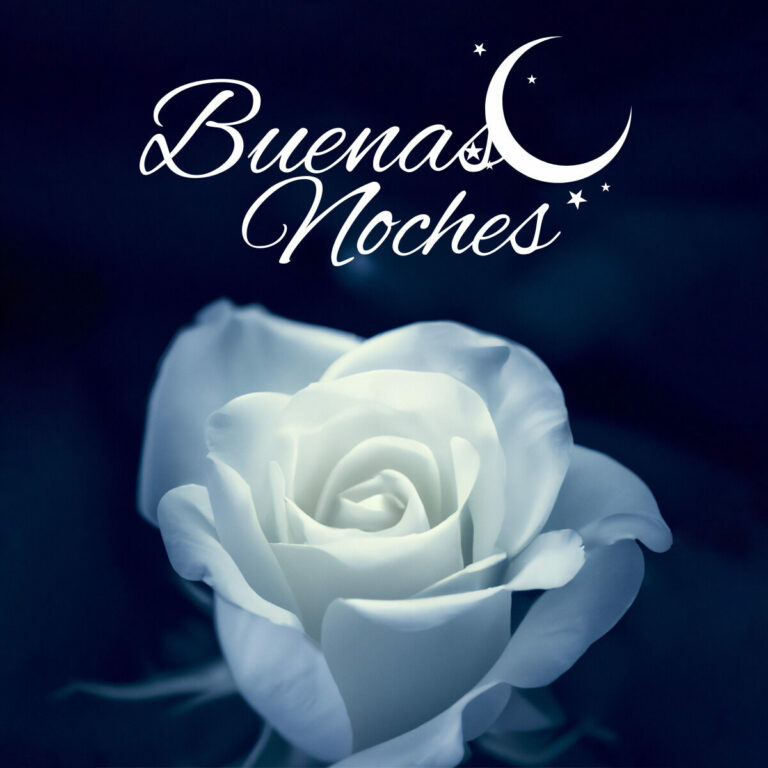 Flores Y Rosas Buenas Noches » Imágenes Buenas Noches