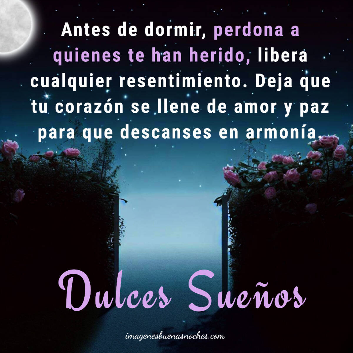 Im genes Y Frases De Buenas Noches Positivas Im genes Buenas Noches